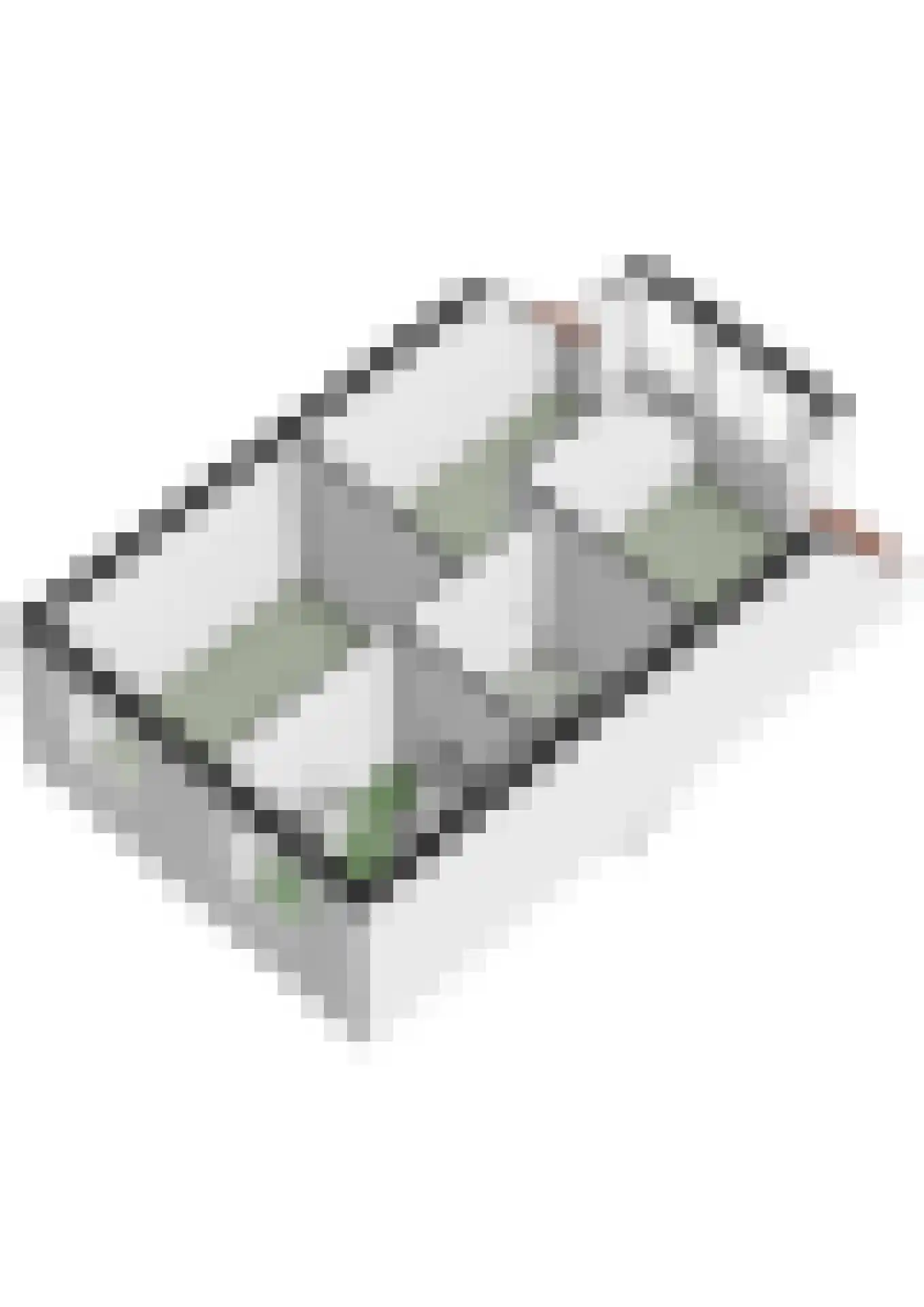Veluwemeerplantsoen 34 Berkel en Rodenrijs thumbnail 47