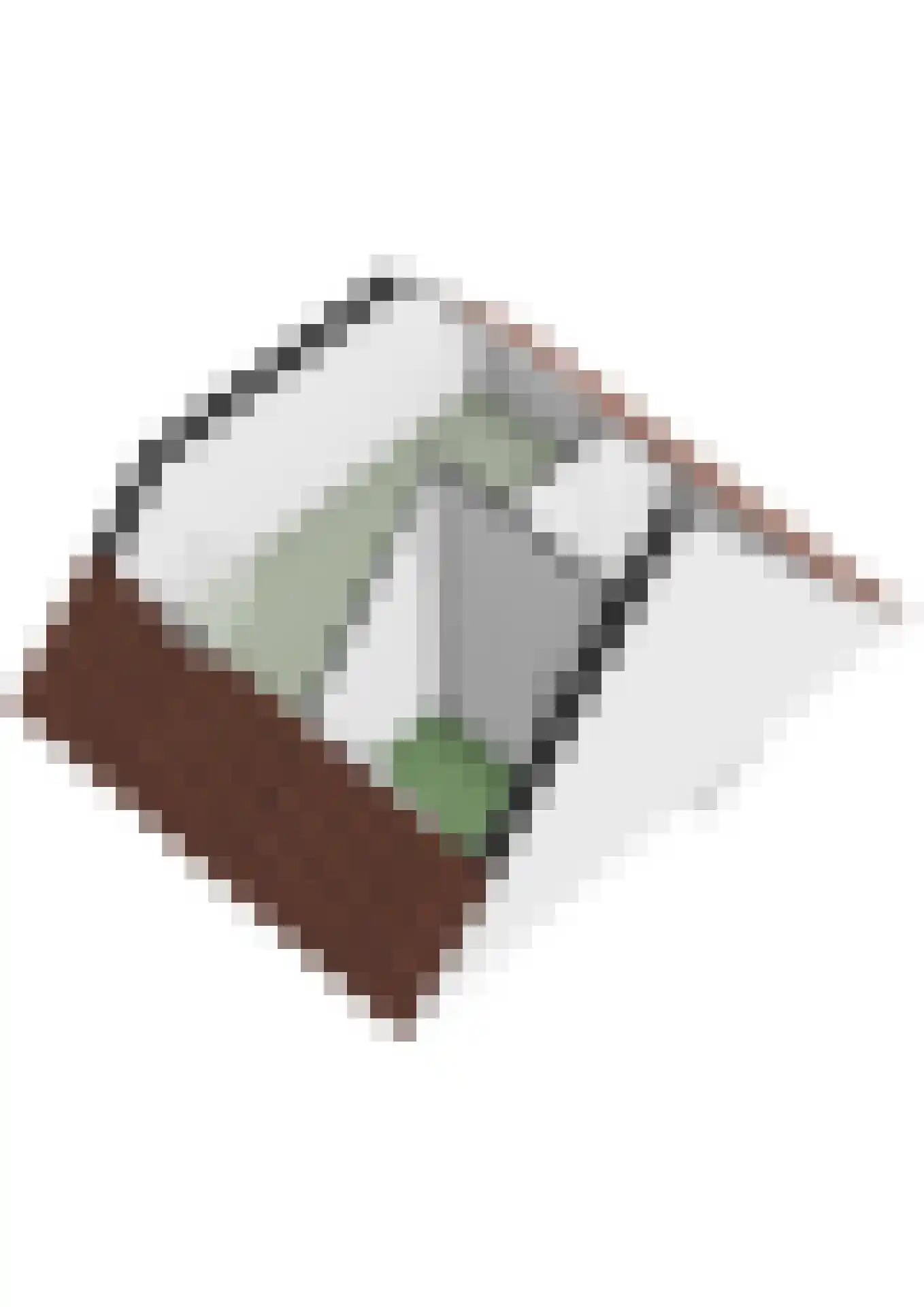 Veluwemeerplantsoen 34 Berkel en Rodenrijs thumbnail 49