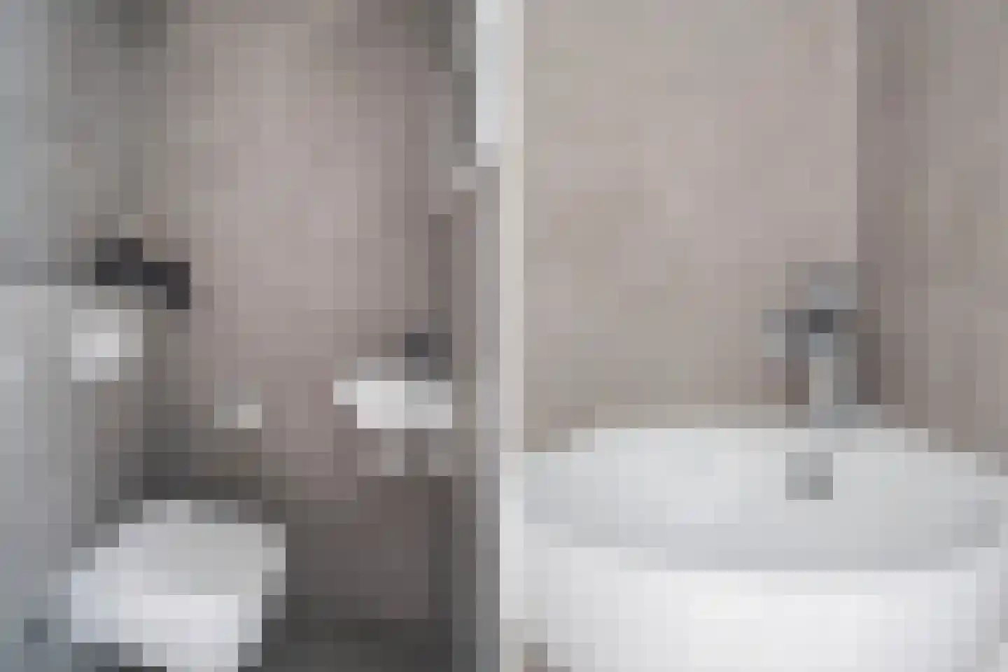 Veluwemeerplantsoen 34 Berkel en Rodenrijs thumbnail 7
