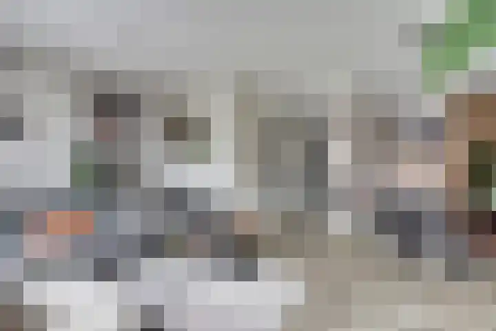 Veluwemeerplantsoen 44 Berkel en Rodenrijs thumbnail 10
