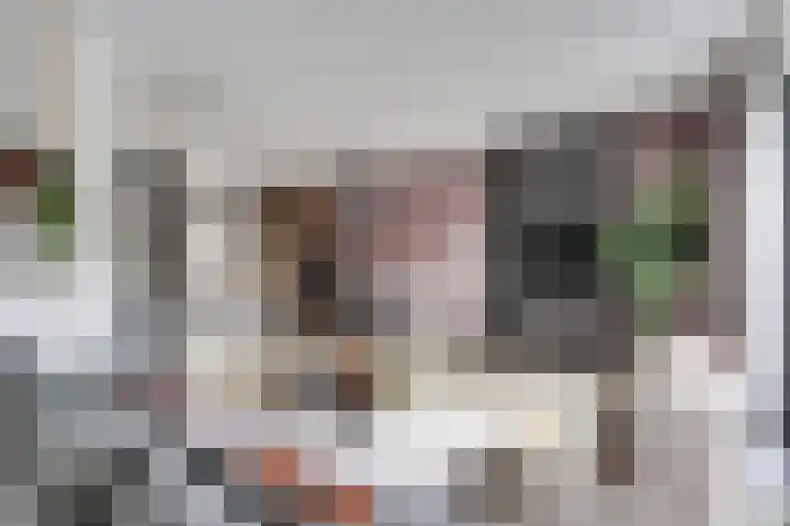 Veluwemeerplantsoen 44 Berkel en Rodenrijs thumbnail 11