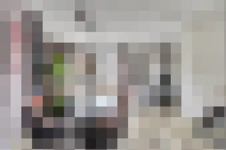 Veluwemeerplantsoen 44 Berkel en Rodenrijs thumbnail 12