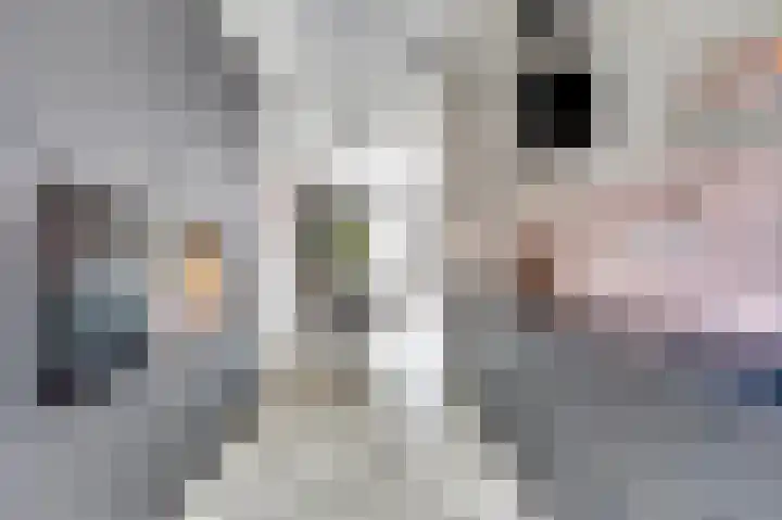 Veluwemeerplantsoen 44 Berkel en Rodenrijs thumbnail 14