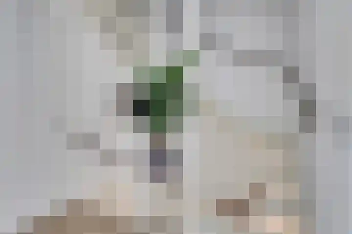 Veluwemeerplantsoen 44 Berkel en Rodenrijs thumbnail 15