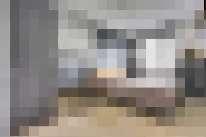 Veluwemeerplantsoen 44 Berkel en Rodenrijs thumbnail 16