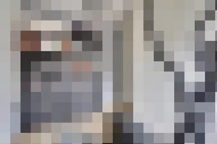 Veluwemeerplantsoen 44 Berkel en Rodenrijs thumbnail 18