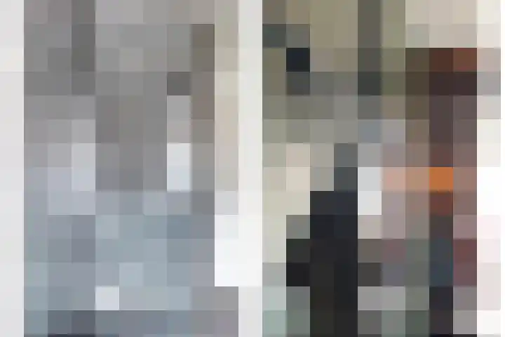 Veluwemeerplantsoen 44 Berkel en Rodenrijs thumbnail 20