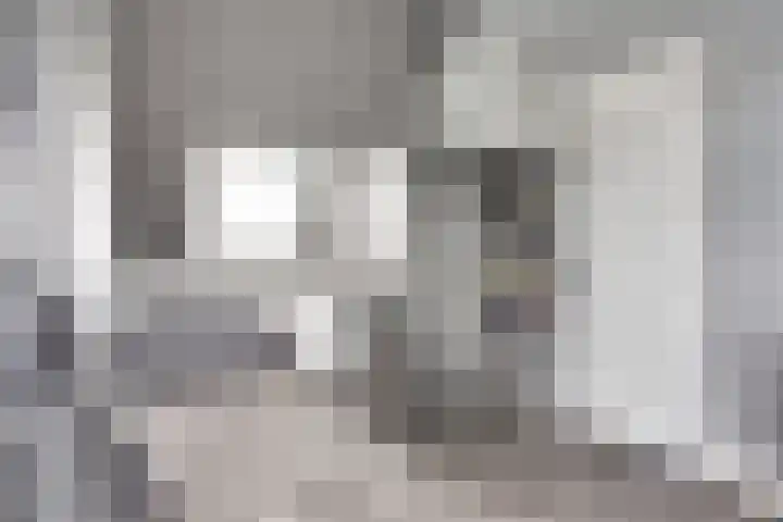Veluwemeerplantsoen 44 Berkel en Rodenrijs thumbnail 23