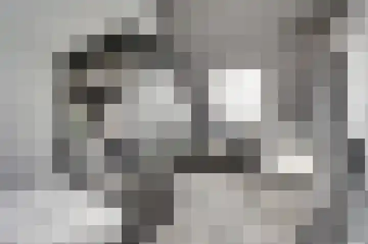 Veluwemeerplantsoen 44 Berkel en Rodenrijs thumbnail 24