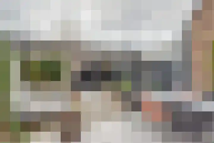 Veluwemeerplantsoen 44 Berkel en Rodenrijs thumbnail 27