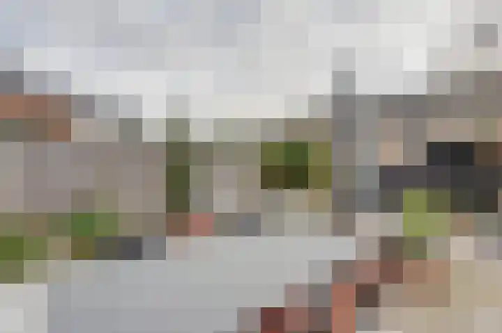 Veluwemeerplantsoen 44 Berkel en Rodenrijs thumbnail 28