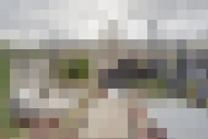 Veluwemeerplantsoen 44 Berkel en Rodenrijs thumbnail 29