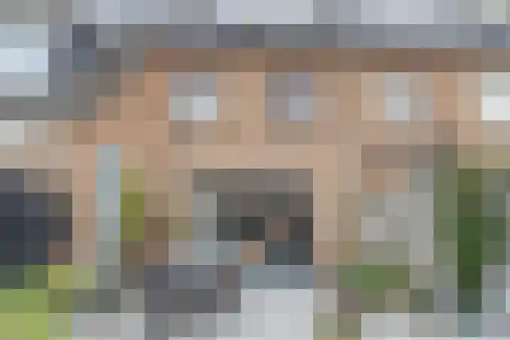 Veluwemeerplantsoen 44 Berkel en Rodenrijs thumbnail 30