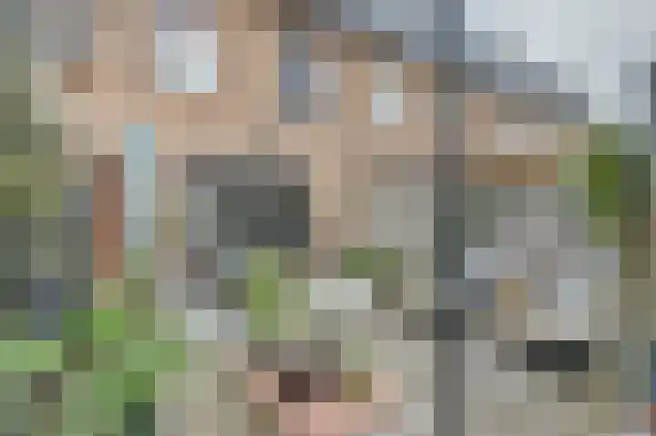 Veluwemeerplantsoen 44 Berkel en Rodenrijs thumbnail 31