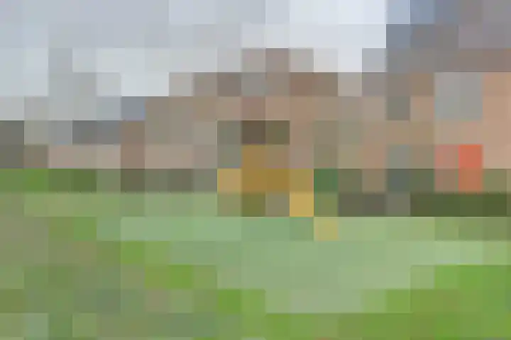 Veluwemeerplantsoen 44 Berkel en Rodenrijs thumbnail 36