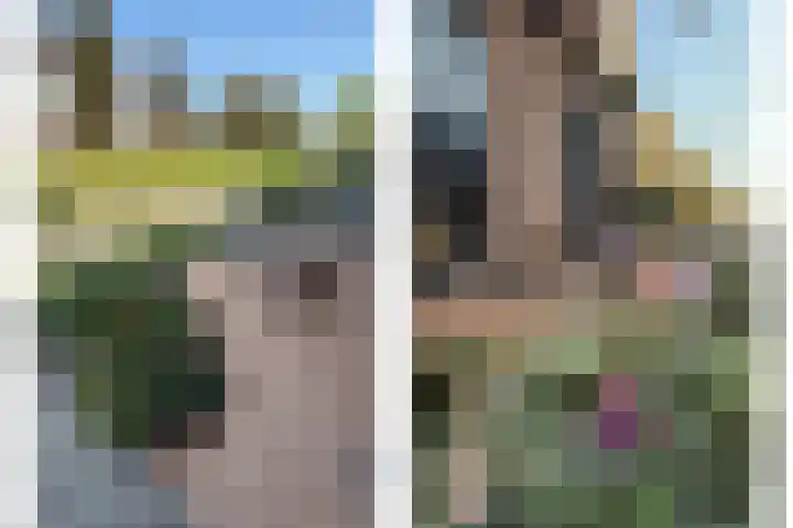 Veluwemeerplantsoen 44 Berkel en Rodenrijs thumbnail 4