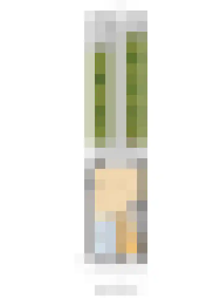 Veluwemeerplantsoen 44 Berkel en Rodenrijs thumbnail 44