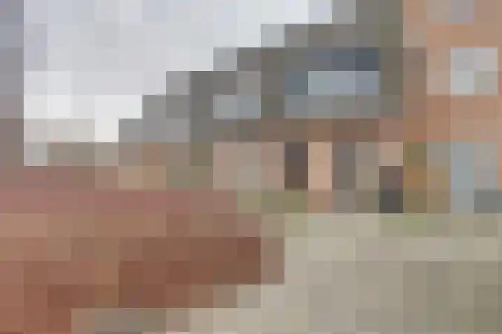 Veluwemeerplantsoen 44 Berkel en Rodenrijs thumbnail 5