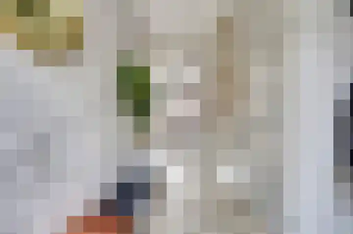Veluwemeerplantsoen 44 Berkel en Rodenrijs thumbnail 6