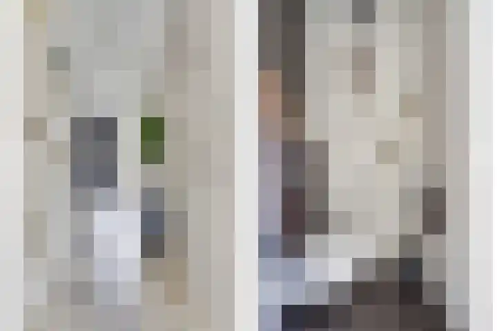 Veluwemeerplantsoen 44 Berkel en Rodenrijs thumbnail 7