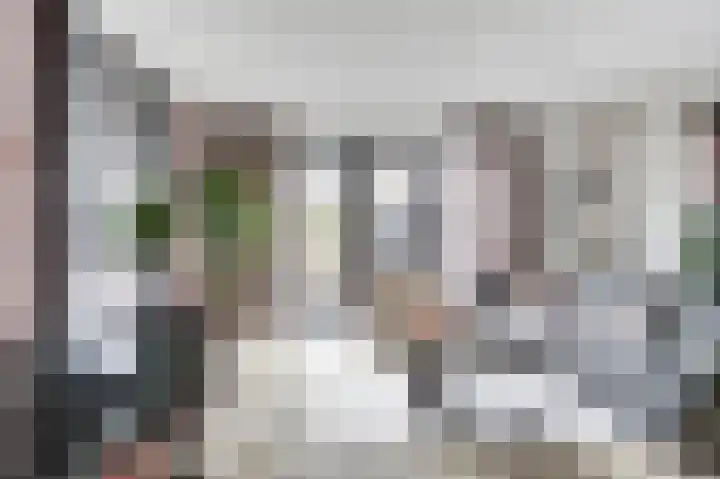 Veluwemeerplantsoen 44 Berkel en Rodenrijs thumbnail 9