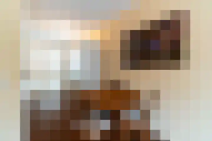 Veluwemeerplantsoen 50 Berkel en Rodenrijs thumbnail 14