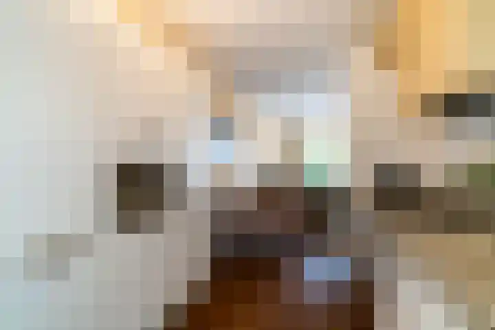 Veluwemeerplantsoen 50 Berkel en Rodenrijs thumbnail 16
