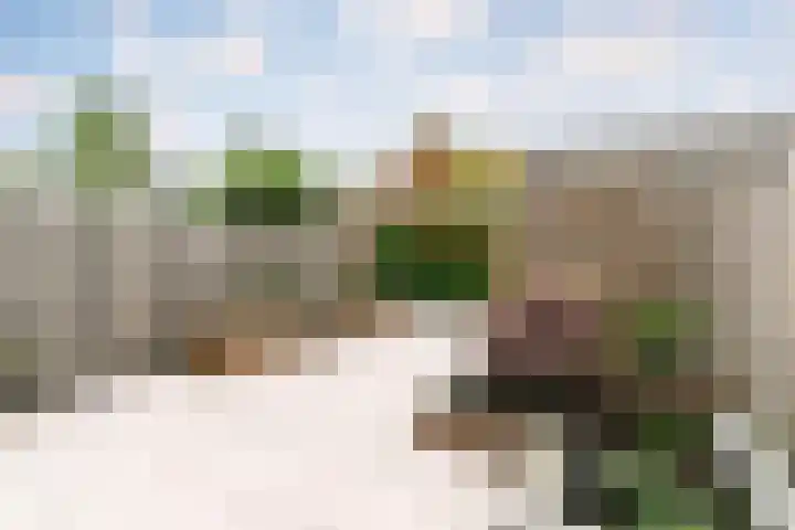 Veluwemeerplantsoen 50 Berkel en Rodenrijs thumbnail 18