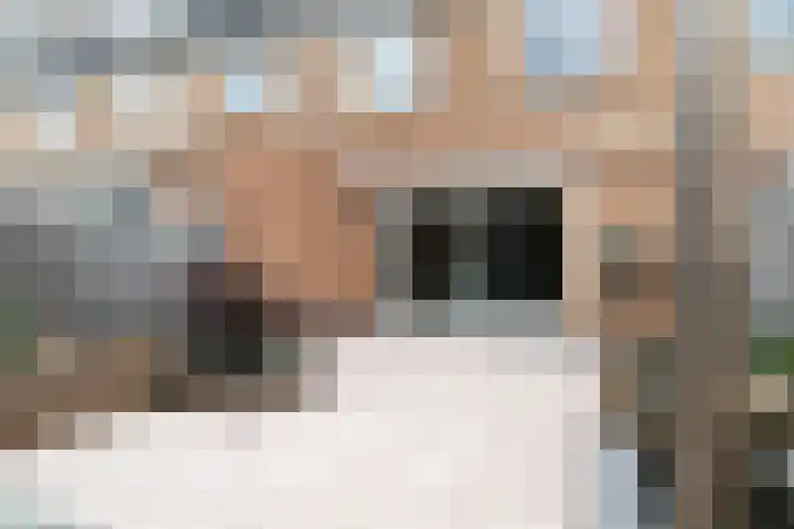 Veluwemeerplantsoen 50 Berkel en Rodenrijs thumbnail 20