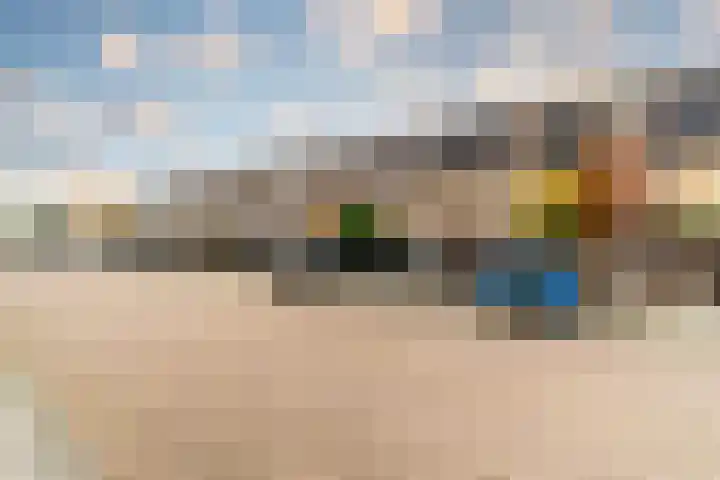 Veluwemeerplantsoen 50 Berkel en Rodenrijs thumbnail 21