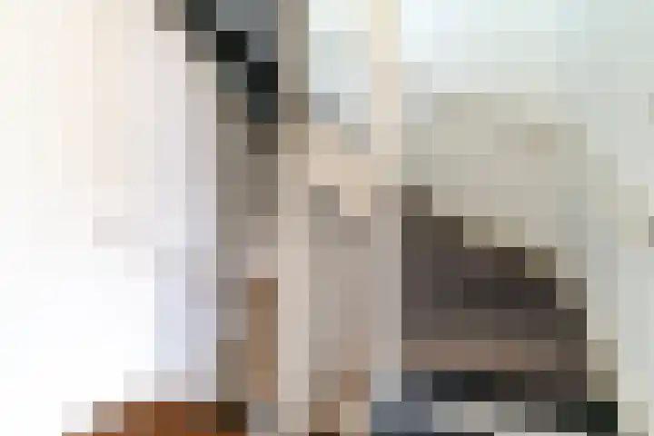 Veluwemeerplantsoen 50 Berkel en Rodenrijs thumbnail 23
