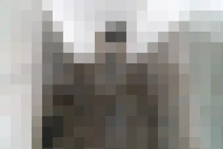 Veluwemeerplantsoen 50 Berkel en Rodenrijs thumbnail 33