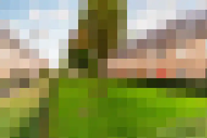 Veluwemeerplantsoen 50 Berkel en Rodenrijs thumbnail 36