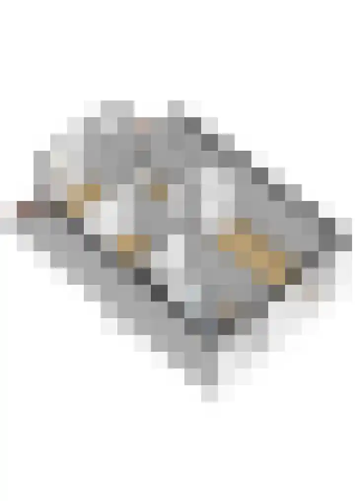 Veluwemeerplantsoen 50 Berkel en Rodenrijs thumbnail 43