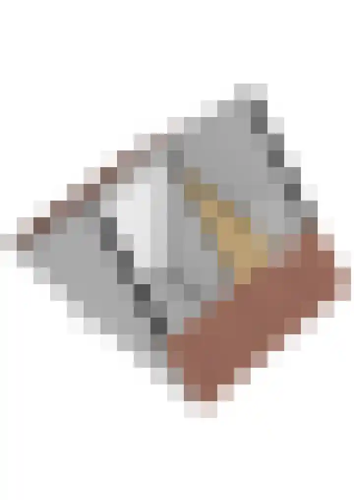 Veluwemeerplantsoen 50 Berkel en Rodenrijs thumbnail 44