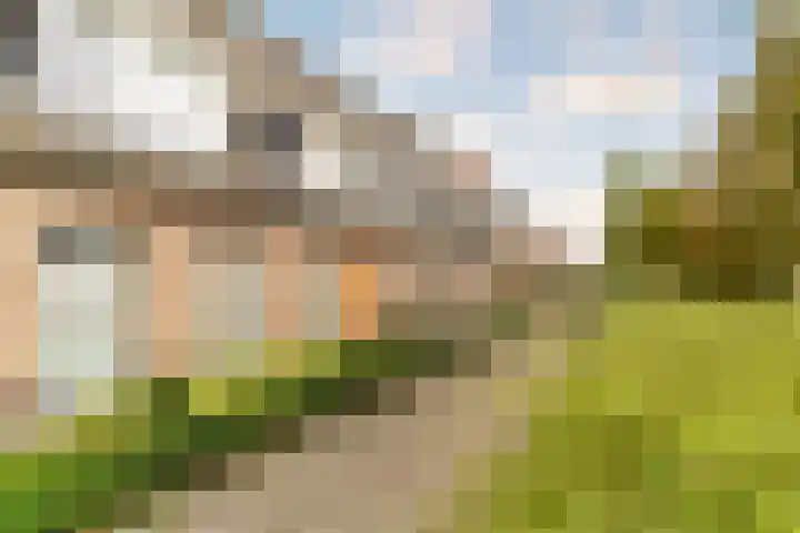 Veluwemeerplantsoen 50 Berkel en Rodenrijs thumbnail 6