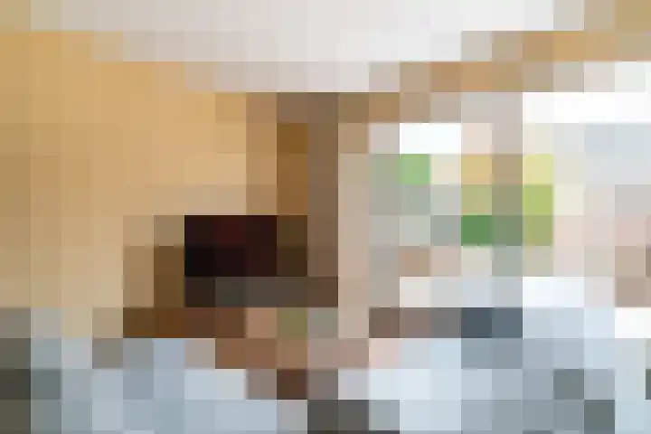 Veluwemeerplantsoen 50 Berkel en Rodenrijs thumbnail 9