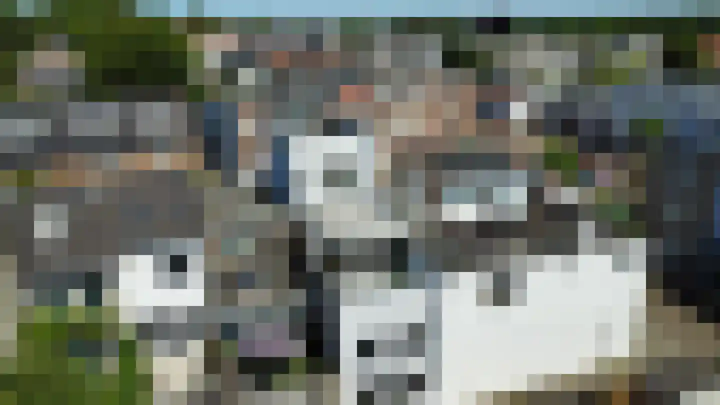 Veluwestraat 1 A Arnhem thumbnail 58