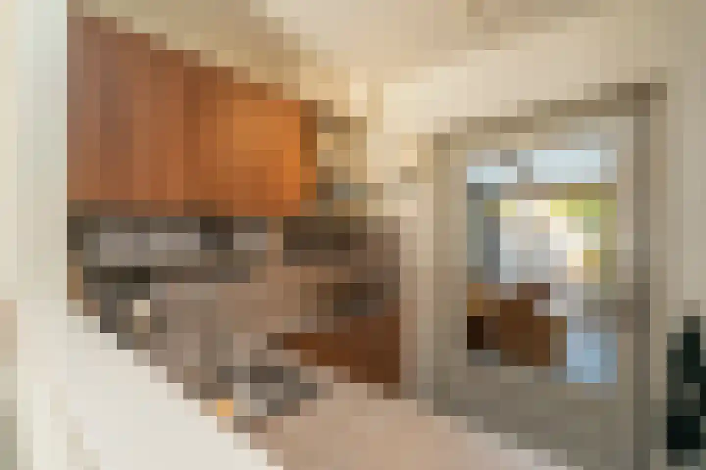 Veluwestraat 10 Tilburg thumbnail 16