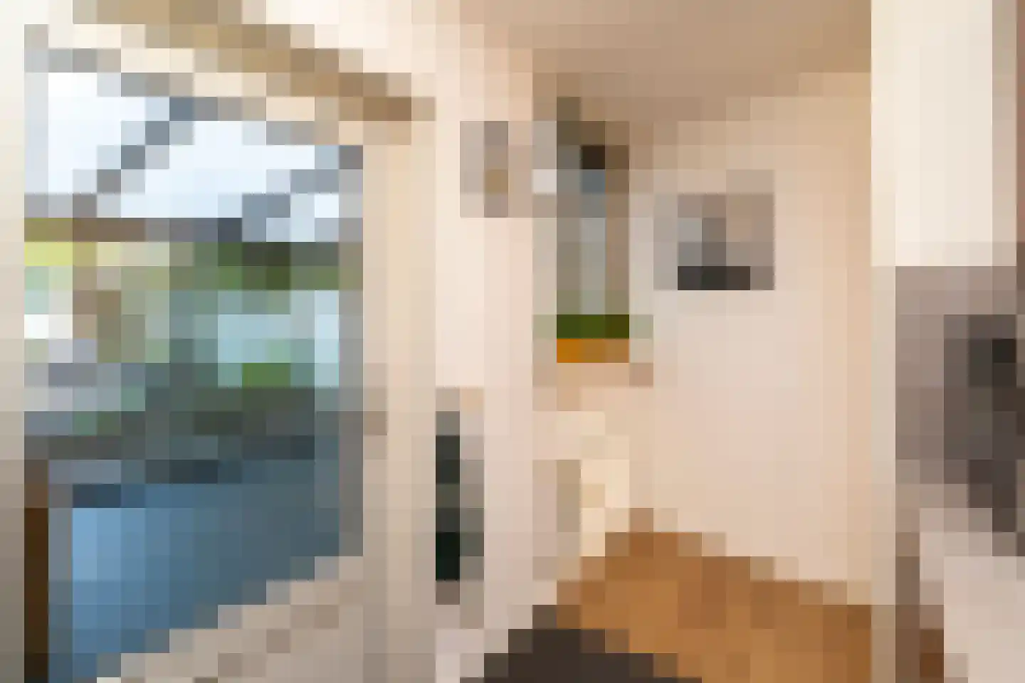 Veluwestraat 10 Tilburg thumbnail 20