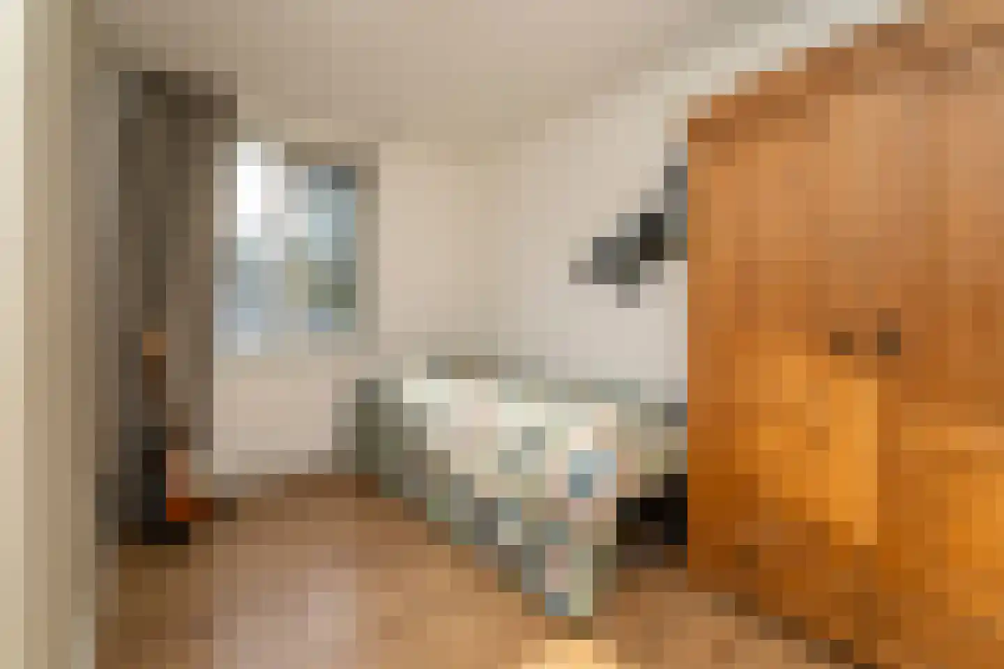 Veluwestraat 10 Tilburg thumbnail 30