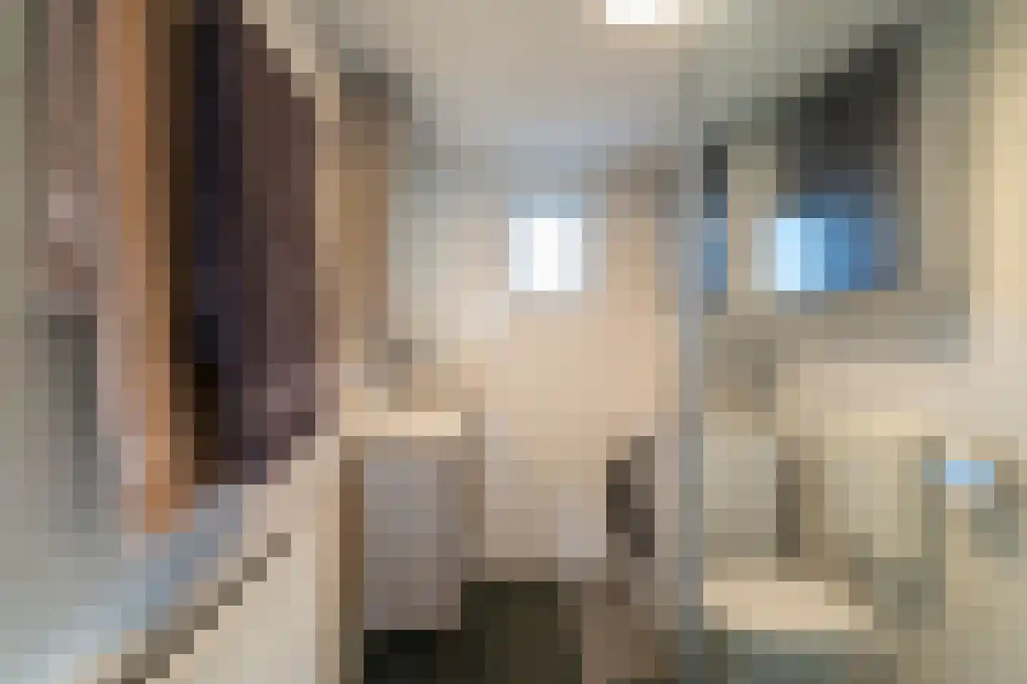 Veluwestraat 10 Tilburg thumbnail 35