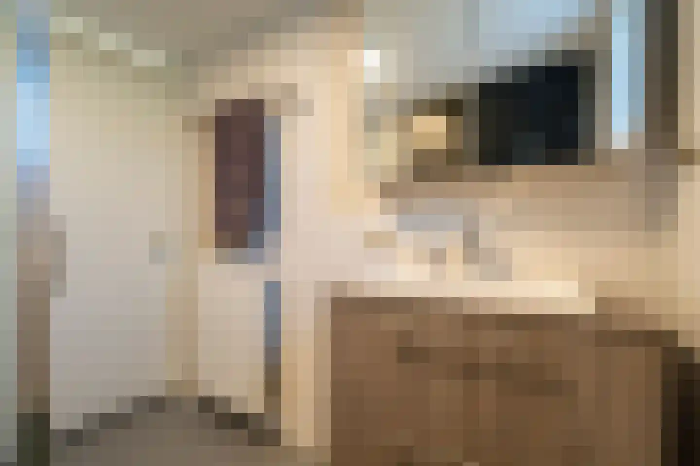 Veluwestraat 10 Tilburg thumbnail 36