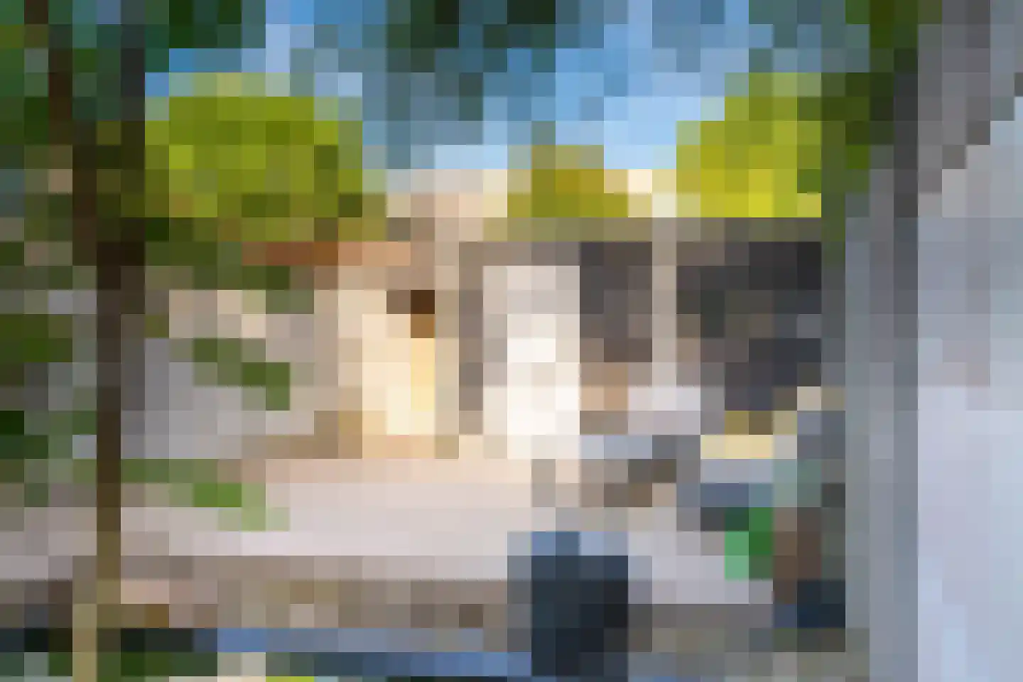 Veluwestraat 10 Tilburg thumbnail 42