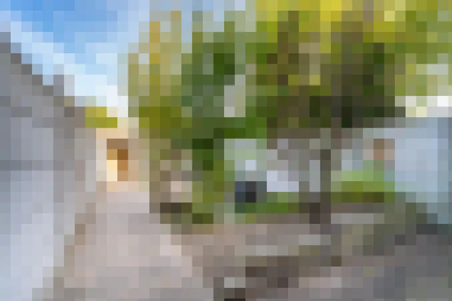 Veluwestraat 10 Tilburg thumbnail 43