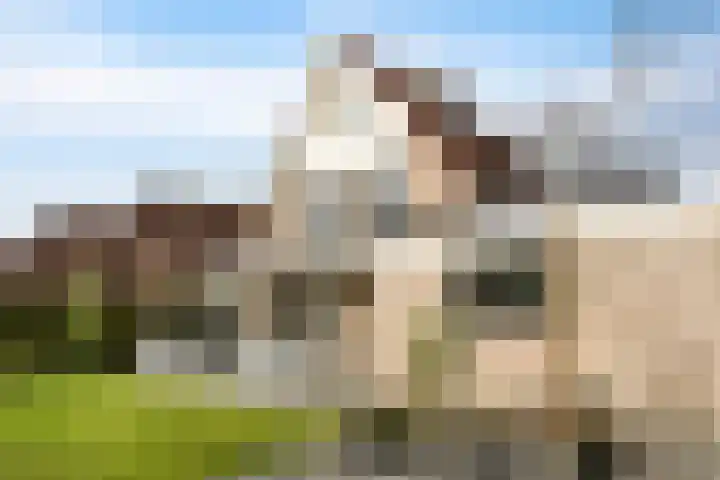 Veluwestraat 112 Hengelo thumbnail 38