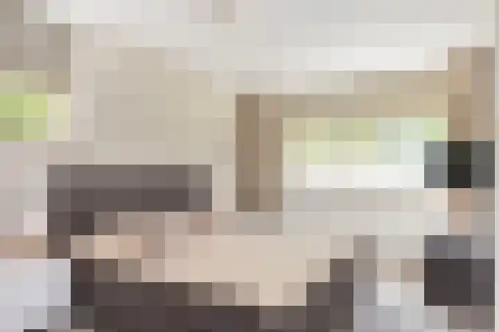 Veluwestraat 26 Hengelo thumbnail 24