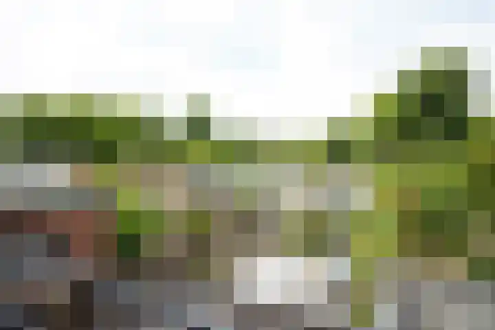 Veluwestraat 38 Arnhem thumbnail 31