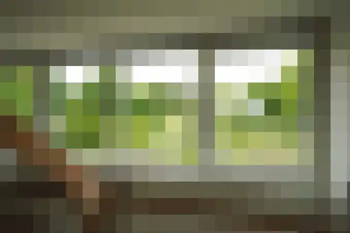 Veluwestraat 38 Arnhem thumbnail 34