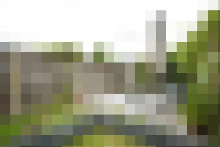 Veluwestraat 38 Arnhem thumbnail 37